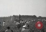 Image récolteuse de coton Stoneville Mississippi USA, 1936, de la seconde 41 séquences d'archives historiques vidéo 65675066983