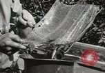Standbild Loch Leven See Cisco California USA, 1936, aus Sekunde 34 historischem Filmmaterial Videoclip 65675066985