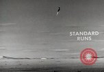 Image of dive bomber United States USA, 1954, second 23 stock footage video 65675066996
