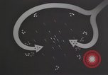 Image of suicide plane attacks Okinawa Ryukyu Islands, 1945, second 30 stock footage video 65675067019