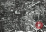 Image of US Navy techniques against kamikaze attack Okinawa Ryukyu Islands, 1945, second 51 stock footage video 65675067020