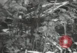 Image of US Navy techniques against kamikaze attack Okinawa Ryukyu Islands, 1945, second 52 stock footage video 65675067020