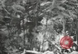 Image of US Navy techniques against kamikaze attack Okinawa Ryukyu Islands, 1945, second 53 stock footage video 65675067020