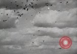 Image of VT Fuze against kamikaze plane attacks Pacific Theater, 1945, second 54 stock footage video 65675067024