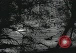 Image of 7th Logistic support squadron Georgia United States USA, 1959, second 18 stock footage video 65675067041
