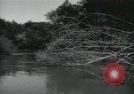 Image of 7th Logistic support squadron Georgia United States USA, 1959, second 22 stock footage video 65675067041