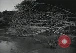 Image of 7th Logistic support squadron Georgia United States USA, 1959, second 23 stock footage video 65675067041
