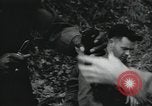Image of 7th Logistic support squadron Georgia United States USA, 1959, second 55 stock footage video 65675067041