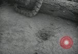 Image of 7th Logistic support squadron Georgia United States USA, 1959, second 59 stock footage video 65675067041