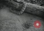 Image of 7th Logistic support squadron Georgia United States USA, 1959, second 60 stock footage video 65675067041