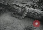Image of 7th Logistic support squadron Georgia United States USA, 1959, second 61 stock footage video 65675067041
