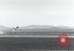 Image of F-100 jet fighter in "Sabre Dance" before fatal crash California United States USA, 1956, second 9 stock footage video 65675067050