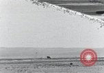 Standbild XB-51 Luftfahrzeug landet auf der Edwards Air Force Base California United States USA, 1951, aus Sekunde 1 historischem Filmmaterial Videoclip 65675067053