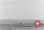 Standbild XB-51 Luftfahrzeug landet auf der Edwards Air Force Base California United States USA, 1951, aus Sekunde 5 historischem Filmmaterial Videoclip 65675067053