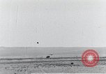 Standbild XB-51 Luftfahrzeug landet auf der Edwards Air Force Base California United States USA, 1951, aus Sekunde 10 historischem Filmmaterial Videoclip 65675067053