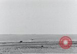 Standbild XB-51 Luftfahrzeug landet auf der Edwards Air Force Base California United States USA, 1951, aus Sekunde 13 historischem Filmmaterial Videoclip 65675067053