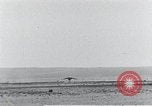 Standbild XB-51 Luftfahrzeug landet auf der Edwards Air Force Base California United States USA, 1951, aus Sekunde 20 historischem Filmmaterial Videoclip 65675067053