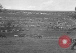 Image of Aisne-Marne Operation France, 1918, second 10 stock footage video 65675067060