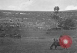 Image of Aisne-Marne Operation France, 1918, second 12 stock footage video 65675067060