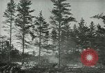 Immagine di Prigionieri tedeschi Michigan United States USA, 1944, secondo 16 filmato di repertorio 65675067064