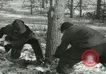 Immagine di Prigionieri tedeschi Michigan United States USA, 1944, secondo 19 filmato di repertorio 65675067064