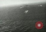 Image of American Army men Truk Caroline Islands, 1944, second 41 stock footage video 65675067071