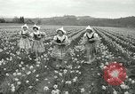 Image mariage militaire Orting Washington USA, 1944, de la seconde 7 séquences d'archives historiques vidéo 65675067075