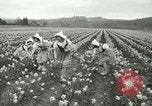 Image mariage militaire Orting Washington USA, 1944, de la seconde 8 séquences d'archives historiques vidéo 65675067075