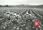 Image mariage militaire Orting Washington USA, 1944, de la seconde 9 séquences d'archives historiques vidéo 65675067075