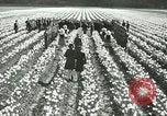 Image mariage militaire Orting Washington USA, 1944, de la seconde 13 séquences d'archives historiques vidéo 65675067075
