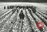 Image mariage militaire Orting Washington USA, 1944, de la seconde 14 séquences d'archives historiques vidéo 65675067075