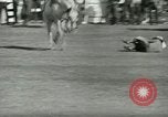 Standbild Rodeo Los Angeles California USA, 1944, aus Sekunde 22 historischem Filmmaterial Videoclip 65675067076