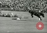 Standbild Rodeo Los Angeles California USA, 1944, aus Sekunde 34 historischem Filmmaterial Videoclip 65675067076