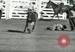 Standbild Rodeo Los Angeles California USA, 1944, aus Sekunde 43 historischem Filmmaterial Videoclip 65675067076