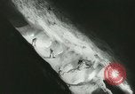 Immagine di Miniera di sale Nova Scotia, 1944, secondo 20 filmato di repertorio 65675067081