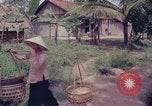 Image of Operation Hump Vietnam, 1965, second 40 stock footage video 65675067088