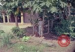 Image of Operation Hump Vietnam, 1965, second 44 stock footage video 65675067088