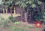 Image of Operation Hump Vietnam, 1965, second 49 stock footage video 65675067088