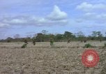 Image of American Army operation Vietnam, 1965, second 36 stock footage video 65675067095