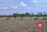Image of American Army operation Vietnam, 1965, second 37 stock footage video 65675067095