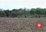 Image of American Army operation Vietnam, 1965, second 38 stock footage video 65675067095