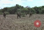 Image of American Army operation Vietnam, 1965, second 52 stock footage video 65675067095