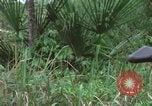 Image of American Army operation Vietnam, 1965, second 8 stock footage video 65675067096