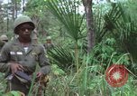 Image of American Army operation Vietnam, 1965, second 15 stock footage video 65675067096