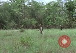 Image of American Army operation Vietnam, 1965, second 48 stock footage video 65675067096