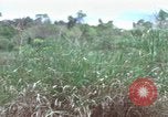 Image of American Army operation Vietnam, 1965, second 42 stock footage video 65675067097
