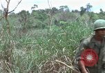 Image of American Army operation Vietnam, 1965, second 44 stock footage video 65675067097