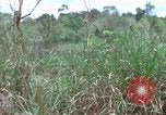Image of American Army operation Vietnam, 1965, second 45 stock footage video 65675067097