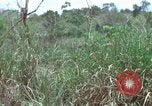 Image of American Army operation Vietnam, 1965, second 48 stock footage video 65675067097