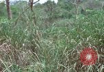 Image of American Army operation Vietnam, 1965, second 50 stock footage video 65675067097
